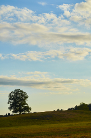 凯发娱乐平台的优势与特色,玩家必知的秘密 凯发娱乐平台的优势与特色,玩家必知的秘密