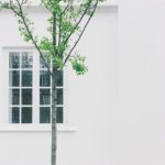 加入6tsports社区:分享经验与获取运动指导的最佳平台 c7j42mizpi