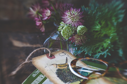 博万体育app:全方位提升您的体育赛事体验与乐趣 博万体育app:全方位提升您的体育赛事体验与乐趣