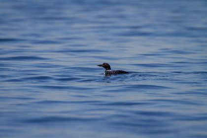 加入摩域体育：打造属于你的个性化健身计划