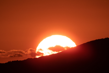 头号玩家体育平台：让你随时随地畅享精彩体育直播
