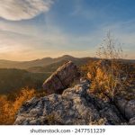 加入j9俱乐部的五大理由,让你不再孤单 ze6obuw