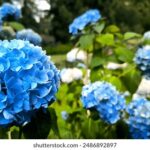 105期双色球开奖结果揭晓,大奖花落谁家引关注 25jsegq7el