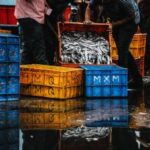 23期开奖结果震撼揭晓,幸运号码花落谁家? 4fcq2k