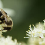 234开奖号前后走势深度解析与预测 8j3zk84vqm