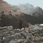 118开奖挂牌最新结果查询与历史走势分析 b8w505tv5