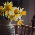 120555期最新开奖结果已公布速来查看 c04x61