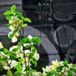 11选5开奖号码最新结果与历史数据查询 c24f0o6zj4