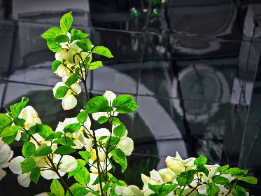 11选5开奖号码最新结果与历史数据查询 11选5开奖号码最新结果与历史数据查询