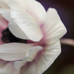 238期开奖号码揭晓,幸运数字花落谁家? efjrxf2k