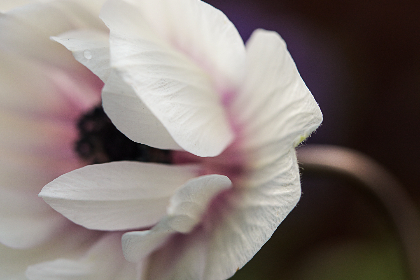 238期开奖号码揭晓,幸运数字花落谁家? 238期开奖号码揭晓,幸运数字花落谁家?
