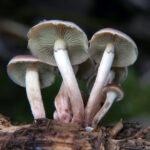 116快速开奖最新结果实时公布查询 epkv9x2