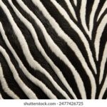 103期开奖时间具体安排及最新官方公告发布 fodp078i