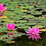 11夺金开奖规则全解析:奖金如何分配与中奖流程详解 jc7qvppg