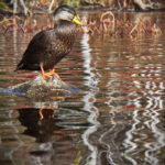 108期大乐透开奖号码揭晓,彩民期待大奖花落谁家 kw3huce