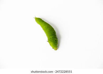 118金多宝最新开奖结果查询与历史中奖号码全记录 118金多宝最新开奖结果查询与历史中奖号码全记录