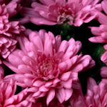 10月6日大乐透开奖直播现场全程高清观看 nr8ds9m