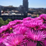 111开奖直播现场全程高清实况转播 pflkq