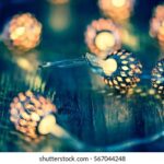 101特马最新开奖结果查询与历史走势分析 tn8qb0