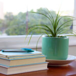 11124期彩票开奖结果最新公布与详细分析 w0tv4893