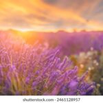 11选5第5期开奖结果今日揭晓,快来看看你中奖了吗? zugtn