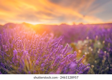 11选5第5期开奖结果今日揭晓,快来看看你中奖了吗? 11选5第5期开奖结果今日揭晓,快来看看你中奖了吗?