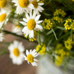 1183期开奖结果kj最新公布与号码走势分析 zykklku9j2